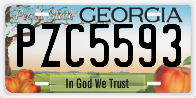 GA license plate PZC5593