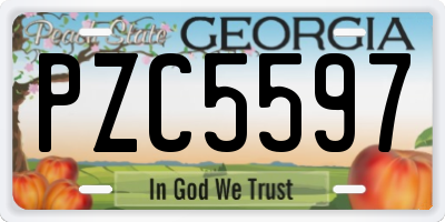 GA license plate PZC5597