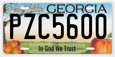 GA license plate PZC5600