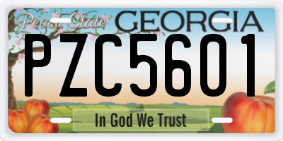 GA license plate PZC5601