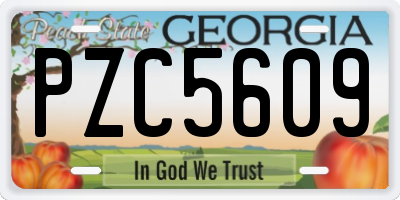 GA license plate PZC5609