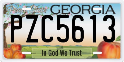 GA license plate PZC5613