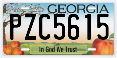 GA license plate PZC5615