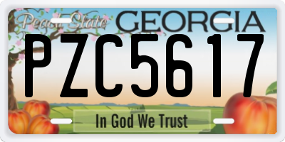GA license plate PZC5617