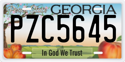 GA license plate PZC5645