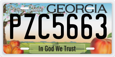 GA license plate PZC5663