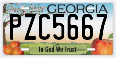 GA license plate PZC5667