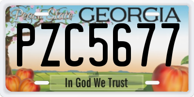 GA license plate PZC5677