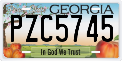 GA license plate PZC5745
