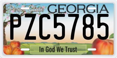 GA license plate PZC5785