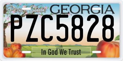 GA license plate PZC5828