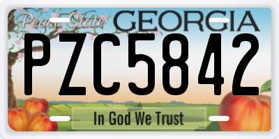 GA license plate PZC5842