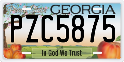 GA license plate PZC5875