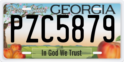 GA license plate PZC5879
