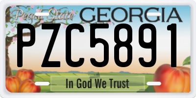 GA license plate PZC5891