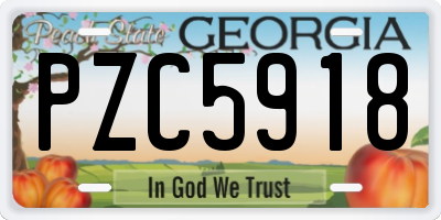 GA license plate PZC5918