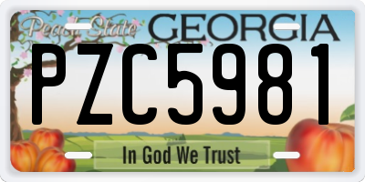 GA license plate PZC5981