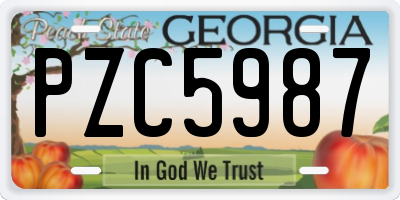 GA license plate PZC5987