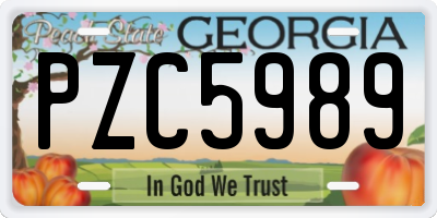 GA license plate PZC5989