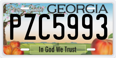 GA license plate PZC5993