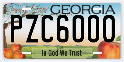 GA license plate PZC6000