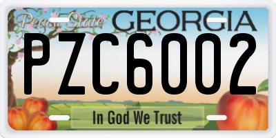 GA license plate PZC6002