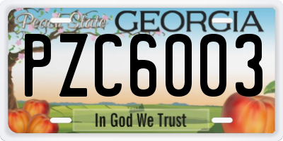 GA license plate PZC6003