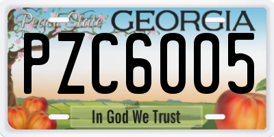 GA license plate PZC6005