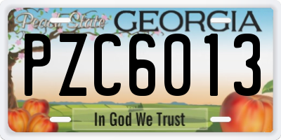GA license plate PZC6013
