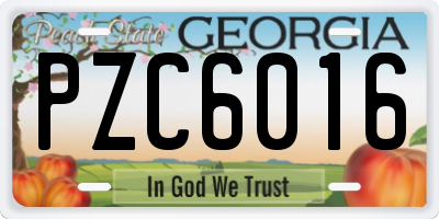 GA license plate PZC6016