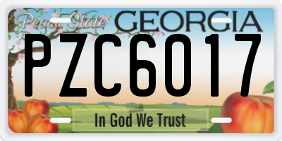 GA license plate PZC6017