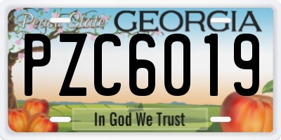 GA license plate PZC6019