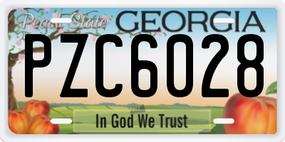 GA license plate PZC6028