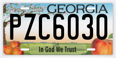GA license plate PZC6030