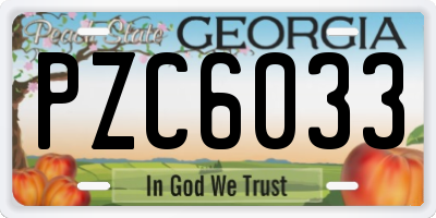 GA license plate PZC6033