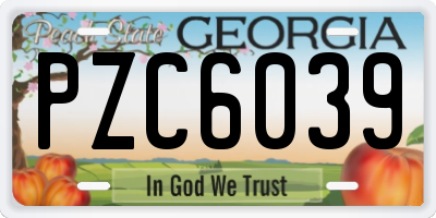 GA license plate PZC6039