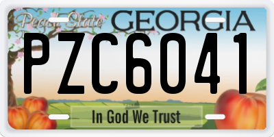 GA license plate PZC6041