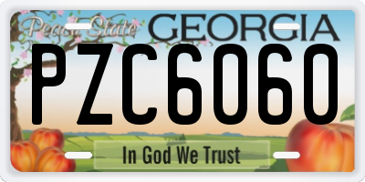 GA license plate PZC6060