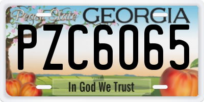 GA license plate PZC6065