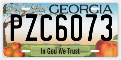 GA license plate PZC6073