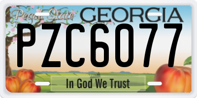 GA license plate PZC6077