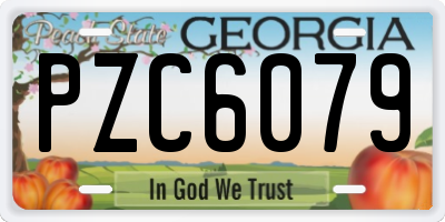 GA license plate PZC6079