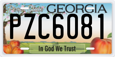 GA license plate PZC6081