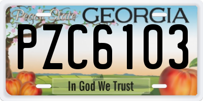 GA license plate PZC6103