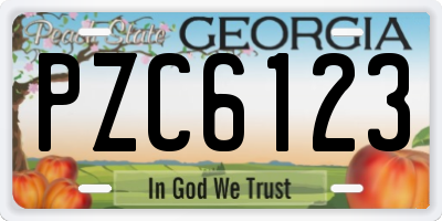 GA license plate PZC6123