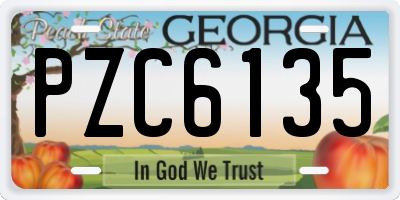 GA license plate PZC6135