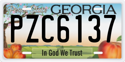 GA license plate PZC6137