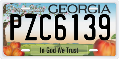 GA license plate PZC6139
