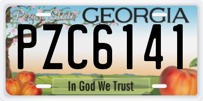 GA license plate PZC6141