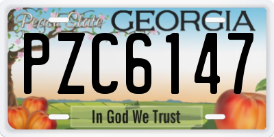 GA license plate PZC6147